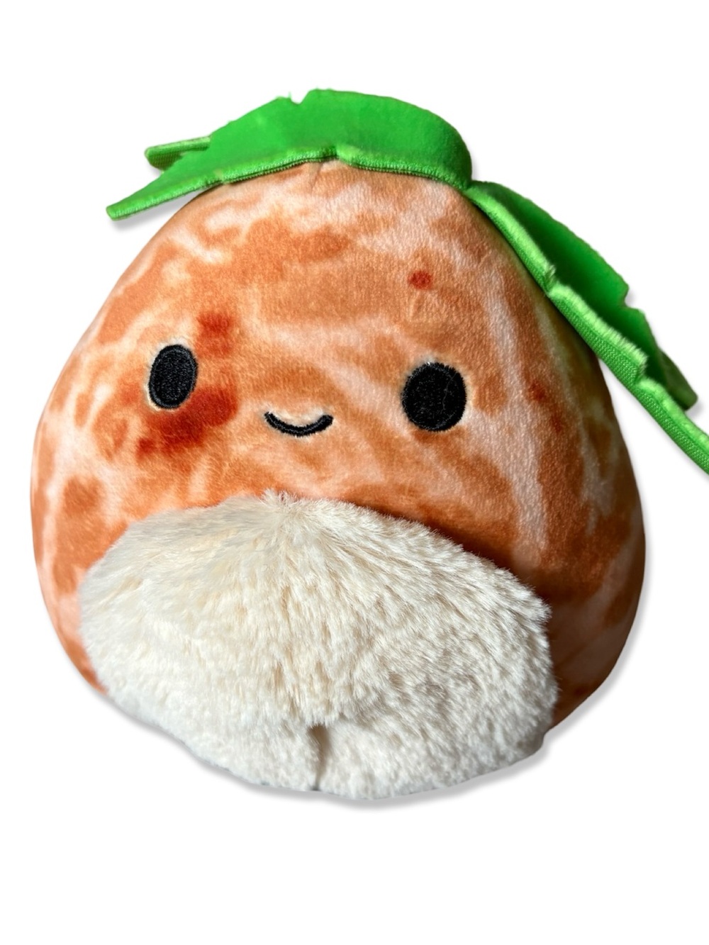 Squishmallows Walley Palm Tree Tropical Plush Mystery Squad Jazwares 5in 2023